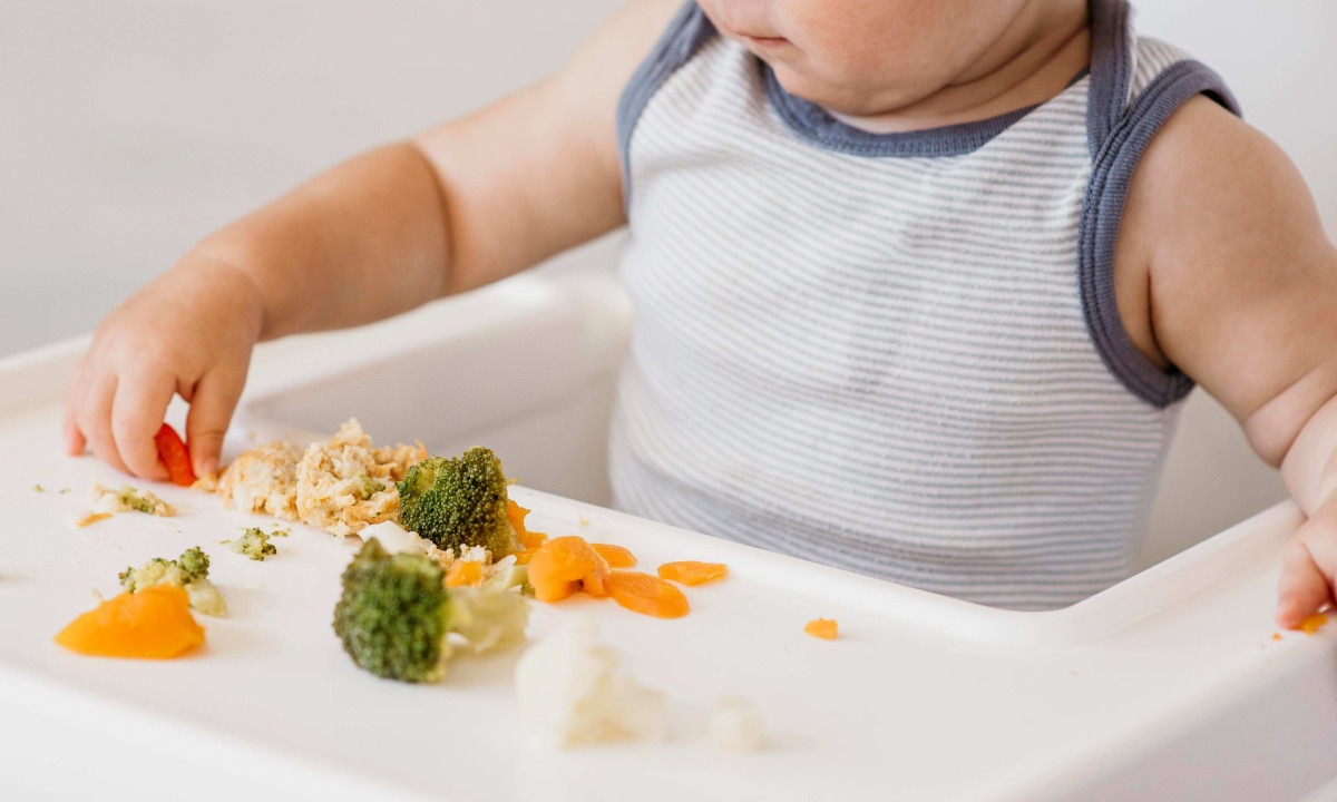 Brincar com a comida ajuda crianças a aceitar novos alimentos, mostra estudo